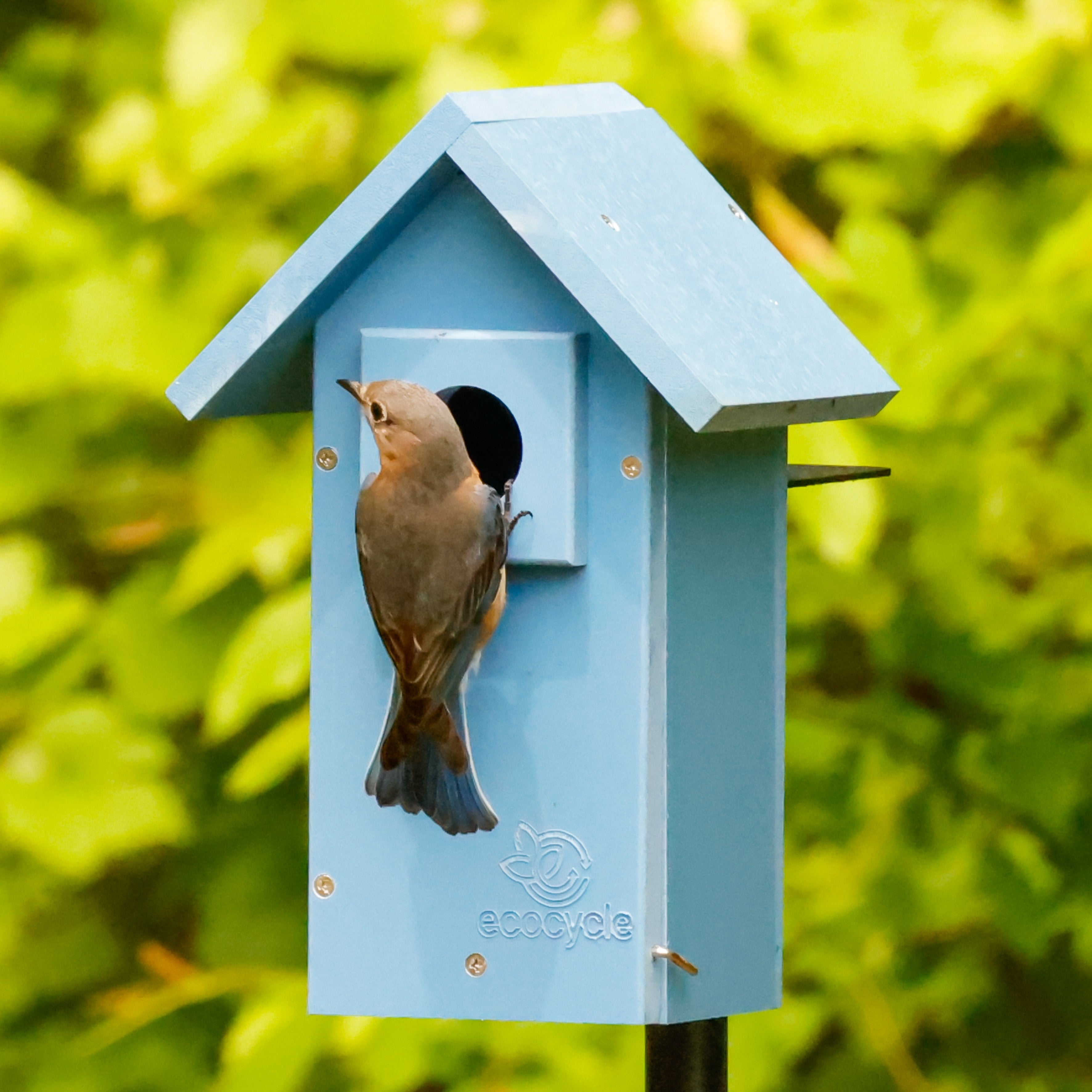 Bluebird Bungalow Recycled Plastic Bird House – Nature's Way Bird