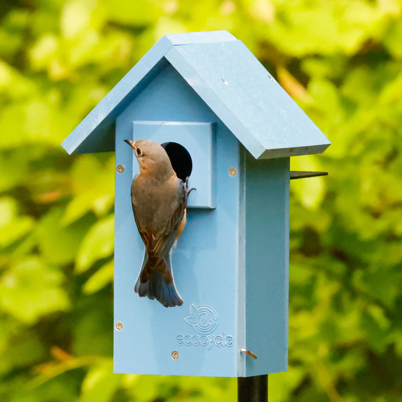 Load image into Gallery viewer, Bluebird Bungalow Recycled Plastic Bird House