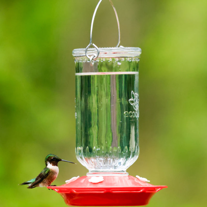 Load image into Gallery viewer, Ruby Roost Recycled Glass Hummingbird Feeder