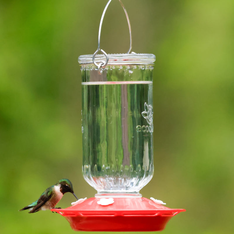 Load image into Gallery viewer, Ruby Roost Recycled Glass Hummingbird Feeder