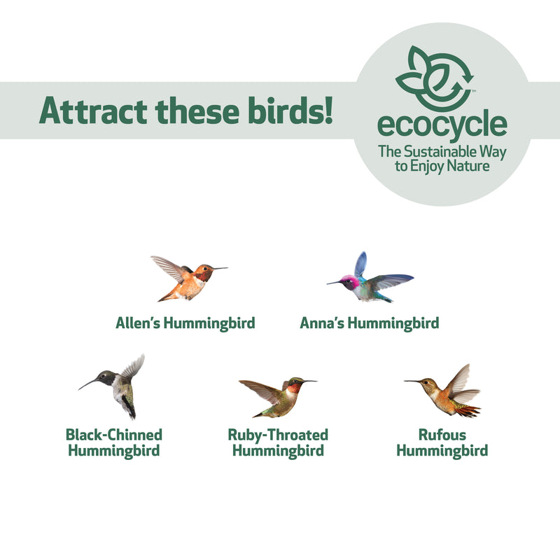 Load image into Gallery viewer, Ruby Roost Recycled Glass Hummingbird Feeder