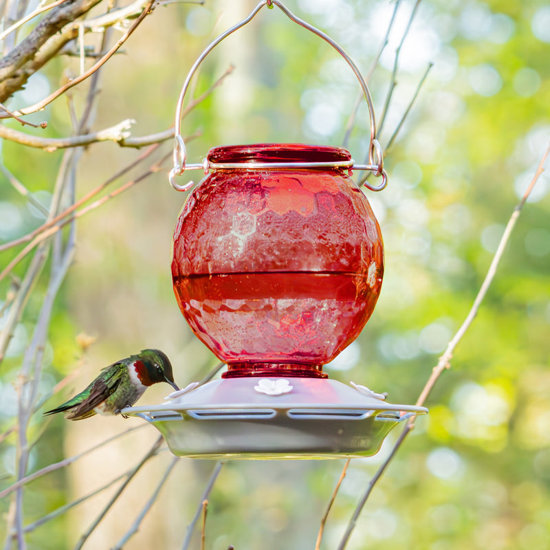 Load image into Gallery viewer, Crimson Comb Recycled Glass Hummingbird Feeder