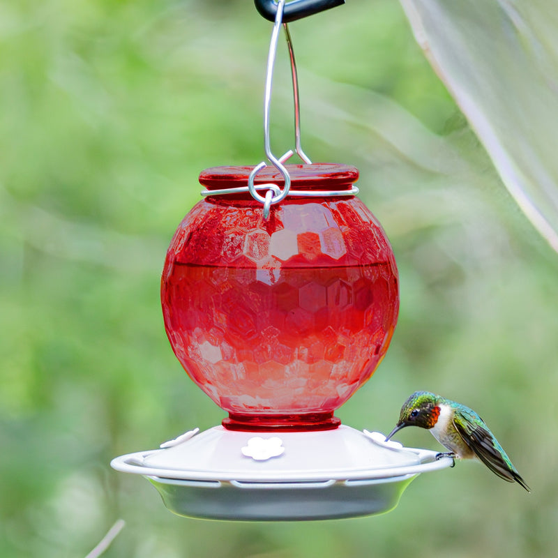 Load image into Gallery viewer, Crimson Comb Recycled Glass Hummingbird Feeder