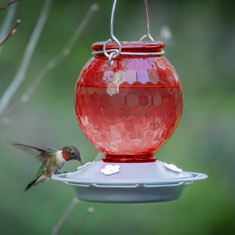Load image into Gallery viewer, Crimson Comb Recycled Glass Hummingbird Feeder