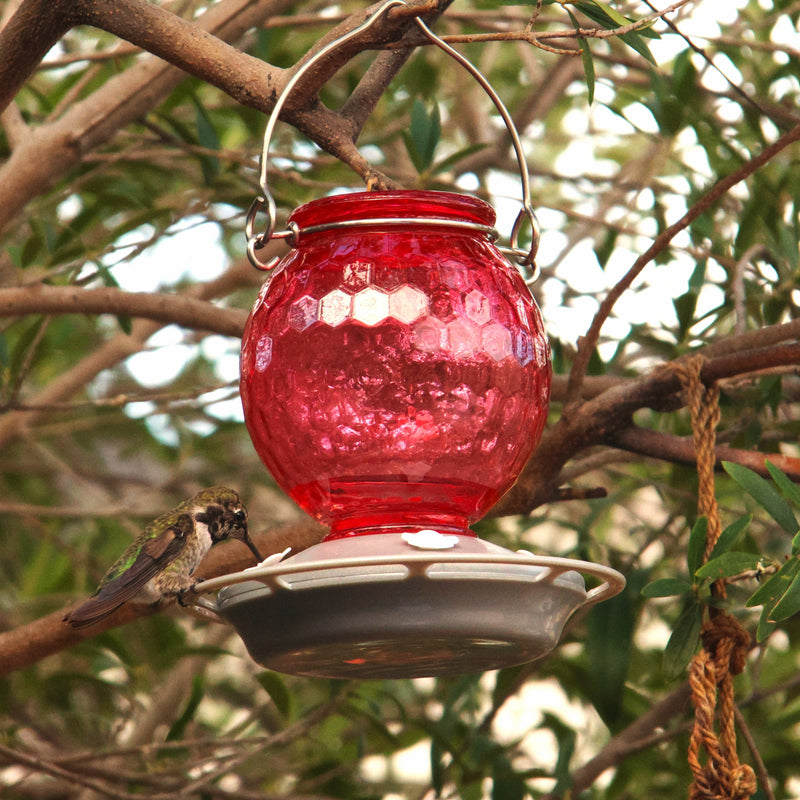 Load image into Gallery viewer, Crimson Comb Recycled Glass Hummingbird Feeder