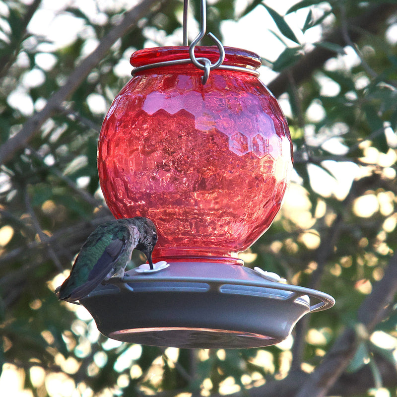 Load image into Gallery viewer, Crimson Comb Recycled Glass Hummingbird Feeder