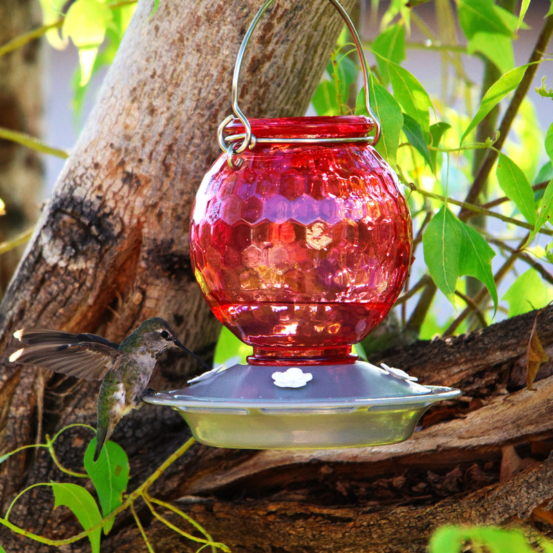 Load image into Gallery viewer, Crimson Comb Recycled Glass Hummingbird Feeder