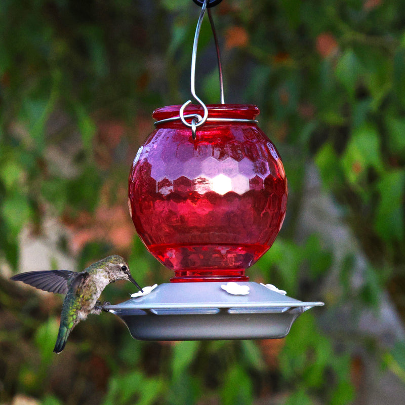 Load image into Gallery viewer, Crimson Comb Recycled Glass Hummingbird Feeder