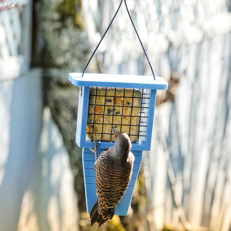 Load image into Gallery viewer, Suet Station Recycled Plastic Tail-prop Bird Feeder