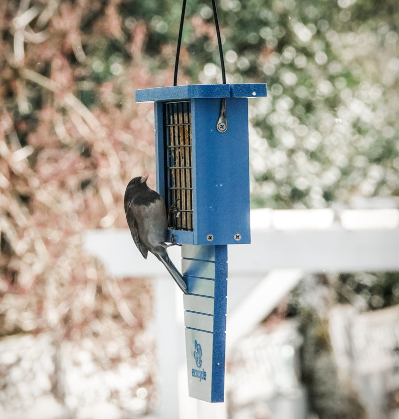 Load image into Gallery viewer, Suet Station Recycled Plastic Tail-prop Bird Feeder