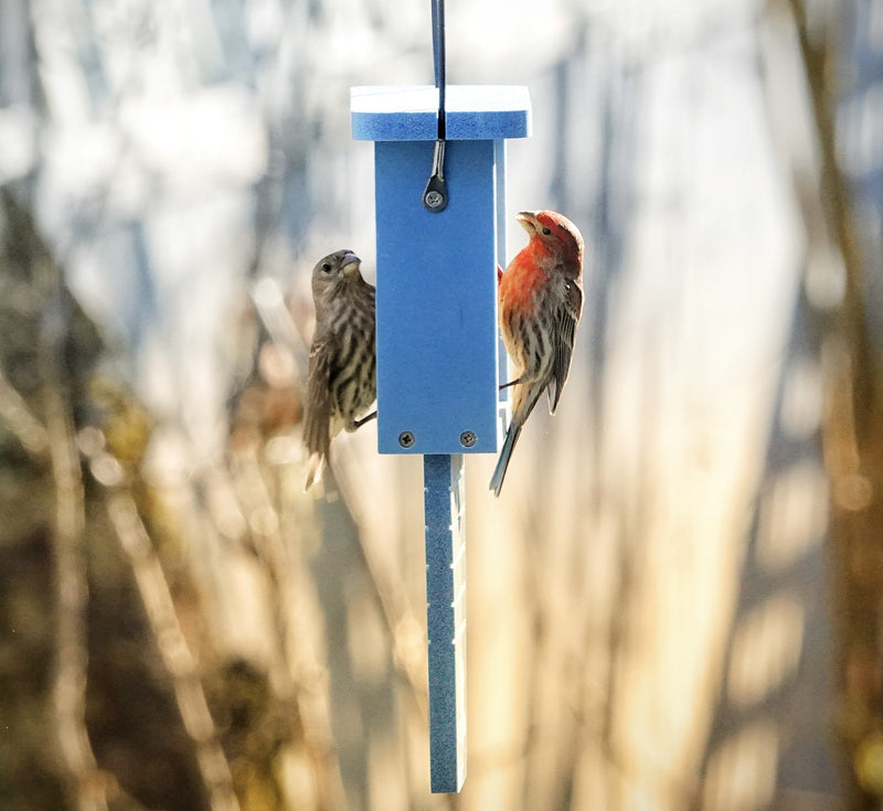Load image into Gallery viewer, Suet Station Recycled Plastic Tail-prop Bird Feeder