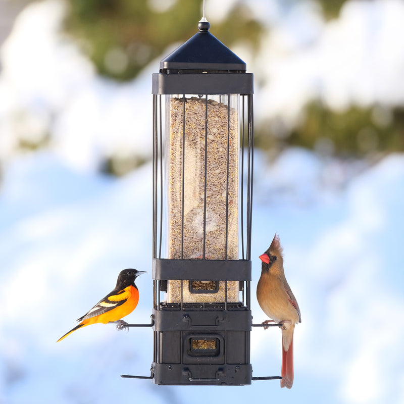 Load image into Gallery viewer, Squirrel Shield Advantage Cage Feeder