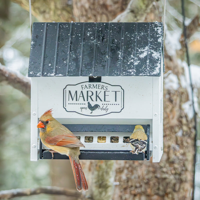 Load image into Gallery viewer, Squirrel Shield Metal Hopper Feeder
