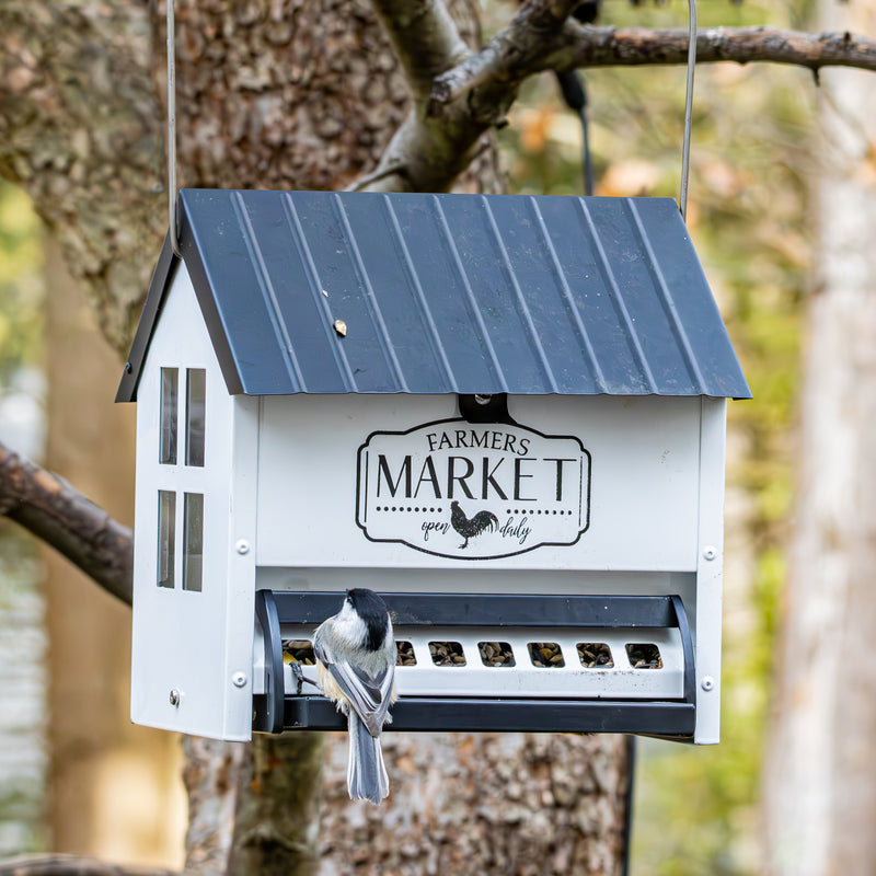 Load image into Gallery viewer, Squirrel Shield Metal Hopper Feeder