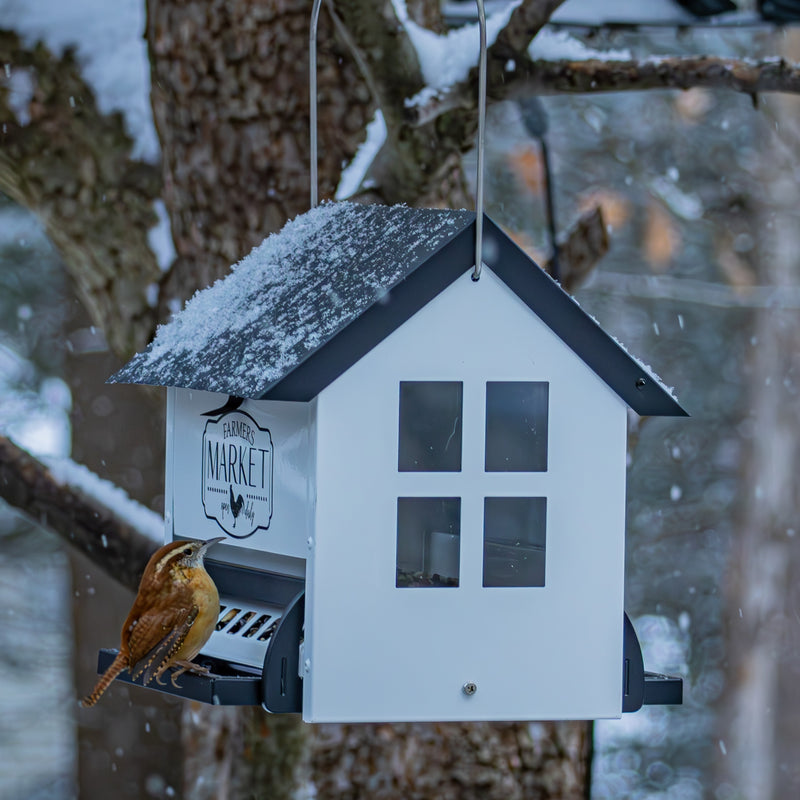 Load image into Gallery viewer, Squirrel Shield Metal Hopper Feeder