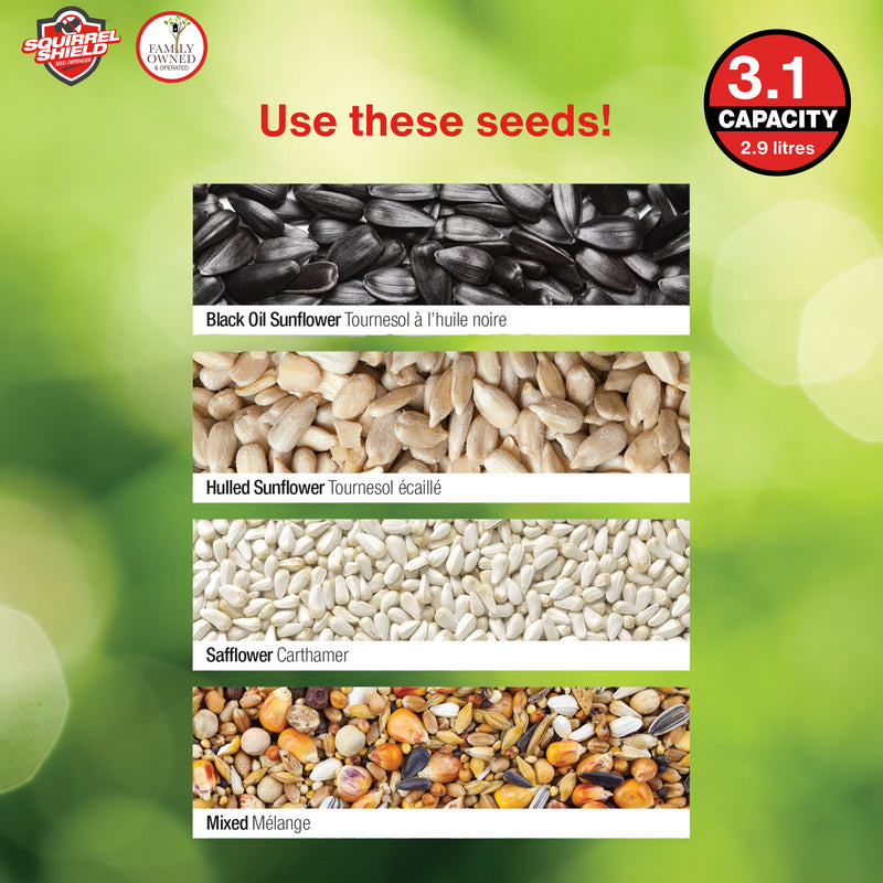 Load image into Gallery viewer, Squirrel Shield Choice Lantern Feeder