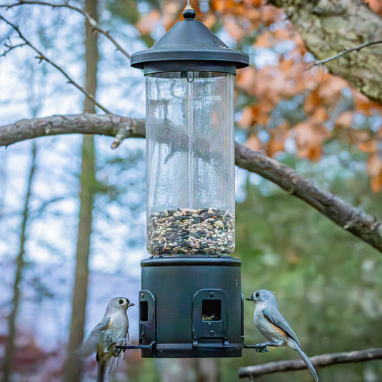 Squirrel Shield Choice Tube Feeder