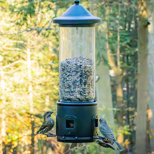 Squirrel Shield Choice Tube Feeder