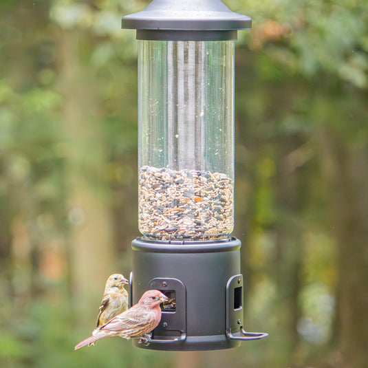 Squirrel Shield Choice Tube Feeder