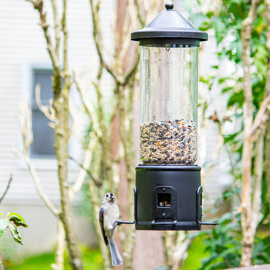Squirrel Shield Choice Tube Feeder