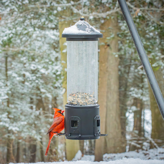Squirrel Shield Choice Tube Feeder