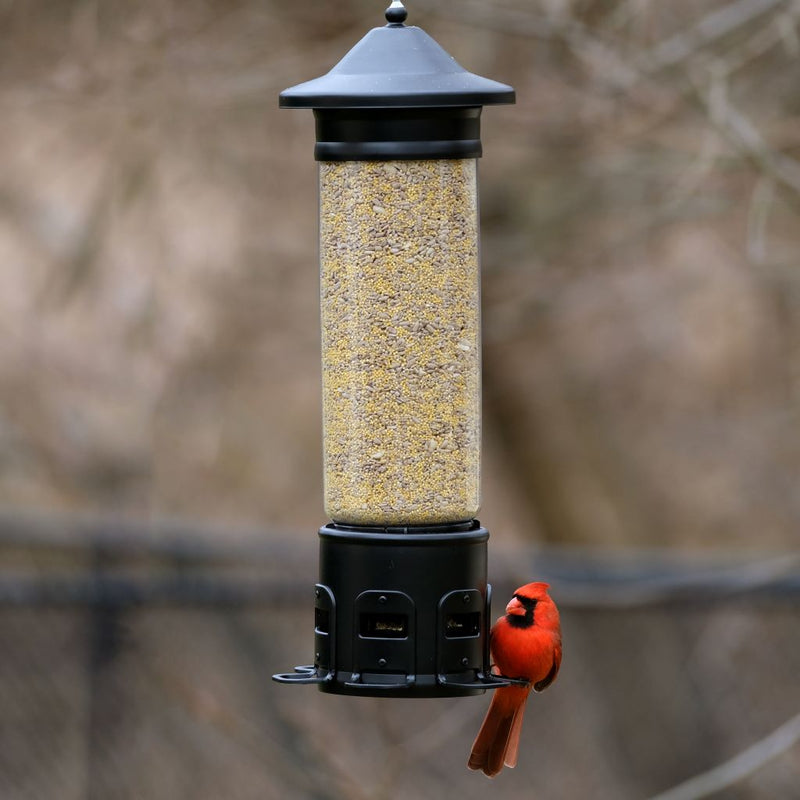 Load image into Gallery viewer, Squirrel Shield Pro Tube Feeder (Model# SPTUB-2)
