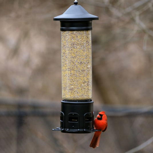 Squirrel Shield Pro Tube Feeder