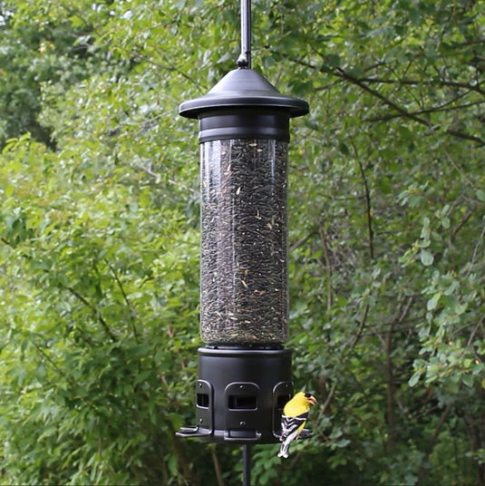 Squirrel Shield Pro Tube Feeder