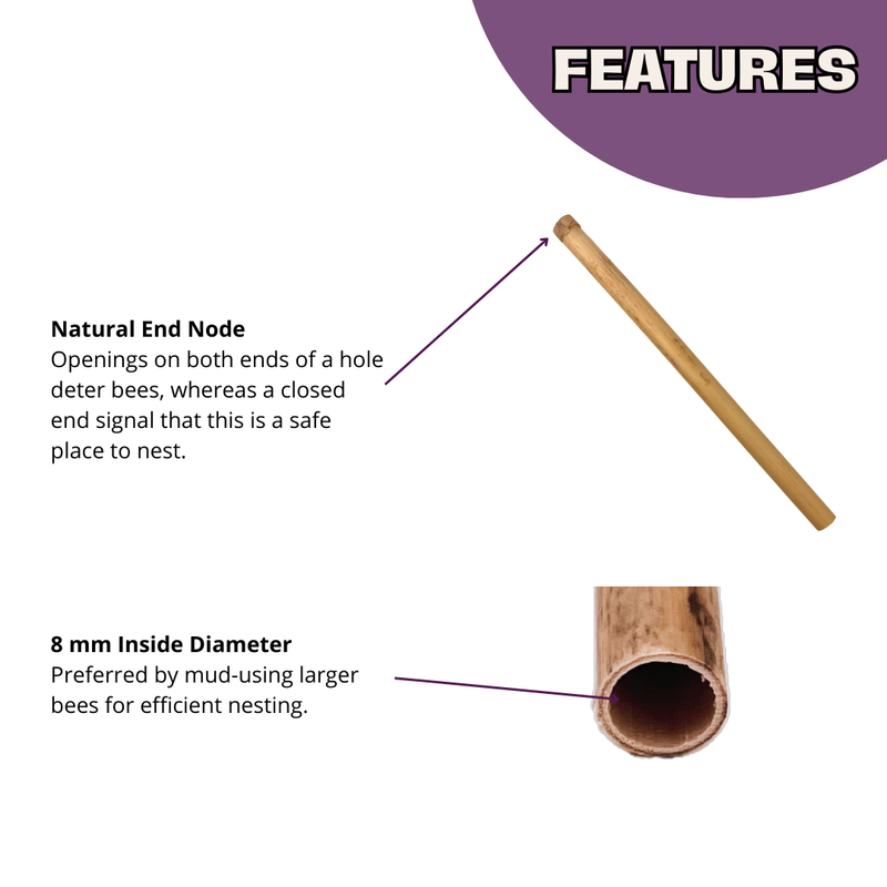 Load image into Gallery viewer, Spring Natural Reeds for Mason Bees - 8mm