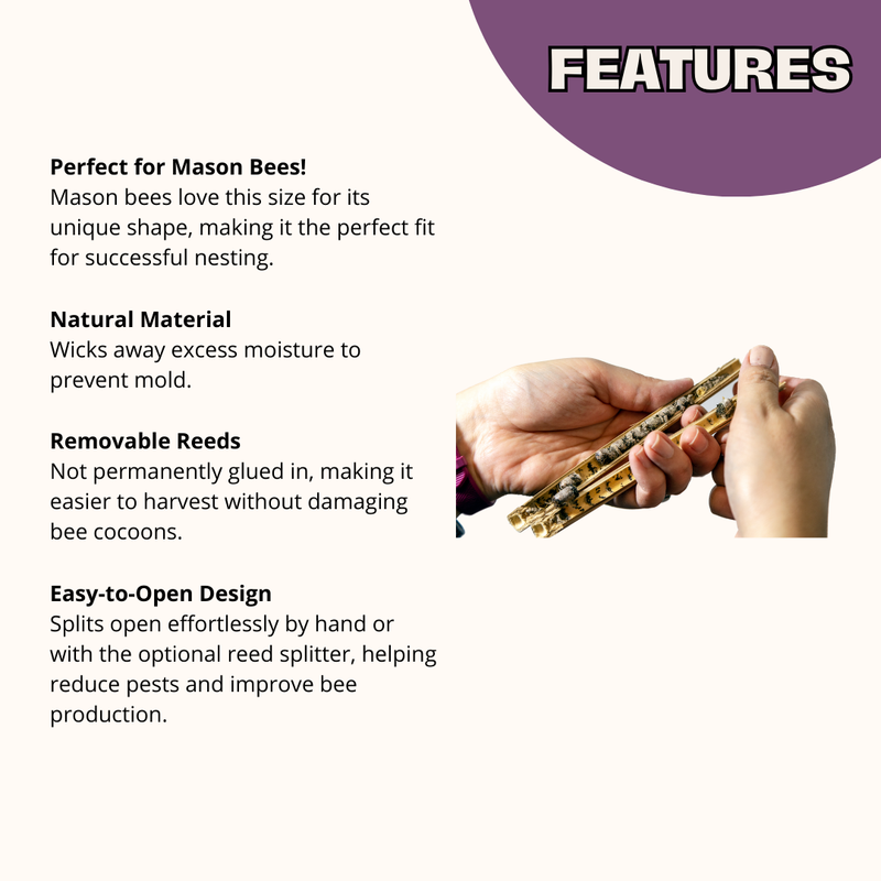 Load image into Gallery viewer, InvitaBee Mason Bee Attractant
