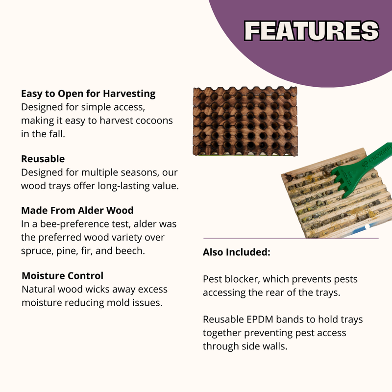 Load image into Gallery viewer, Spring Reusable Wood Trays for Mason Bees - 8mm