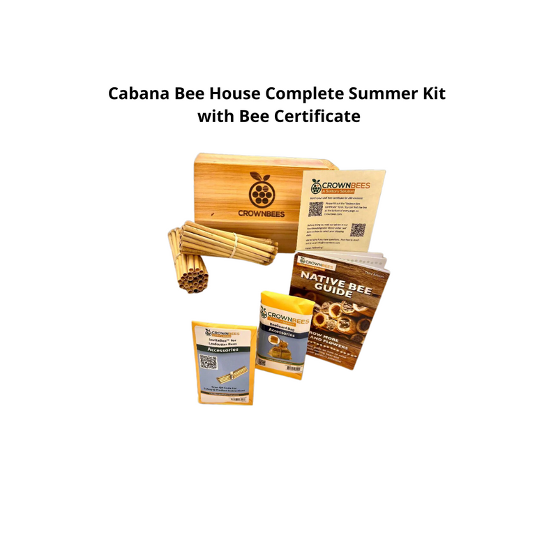 Load image into Gallery viewer, Cabana Bee House & Complete Kit with Bee Certificate