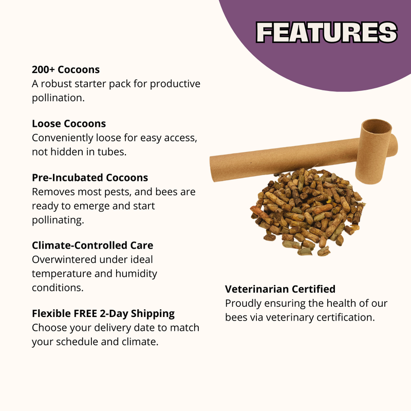 Load image into Gallery viewer, Summer Leaf Bees - (200ct) Free FedEx 2-Day Mail