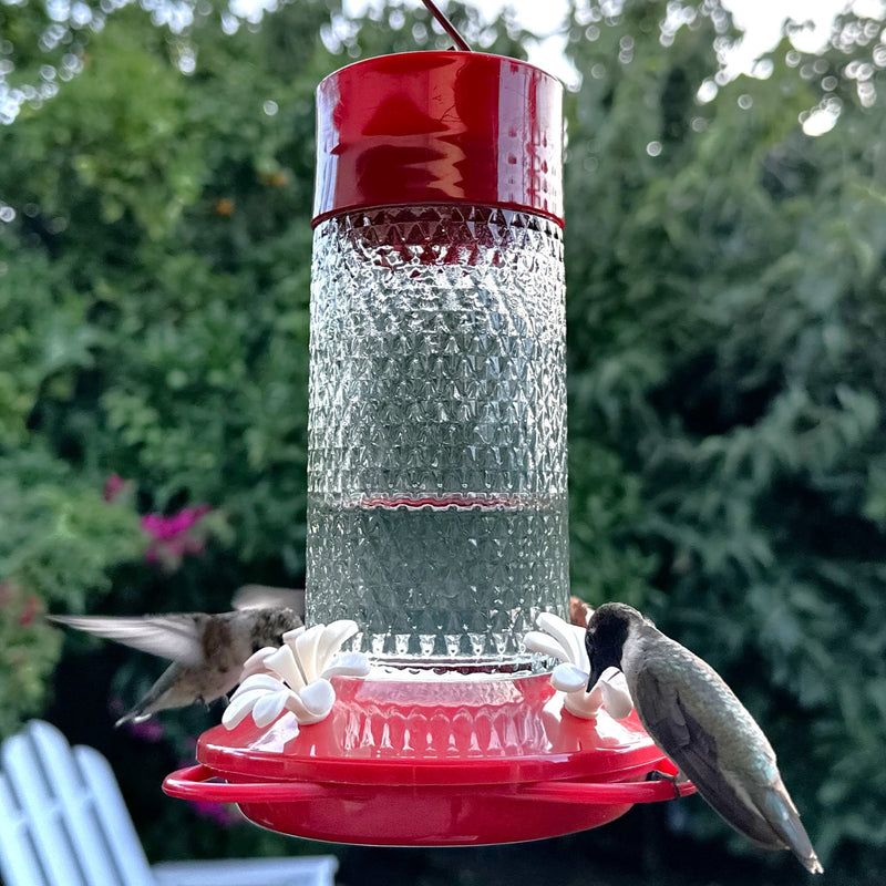 Load image into Gallery viewer, Charming Cherry Glass Gravity Hummingbird Feeder