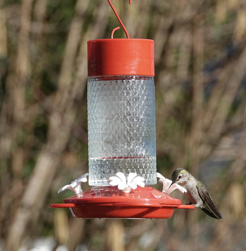 Load image into Gallery viewer, Charming Cherry Glass Gravity Hummingbird Feeder
