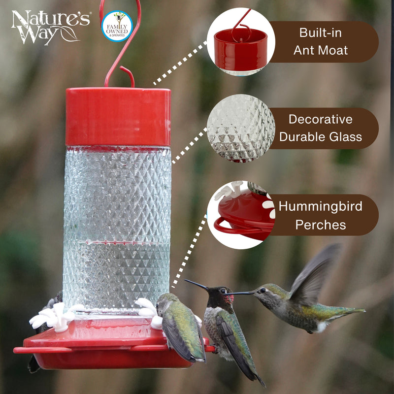 Load image into Gallery viewer, Charming Cherry Glass Gravity Hummingbird Feeder