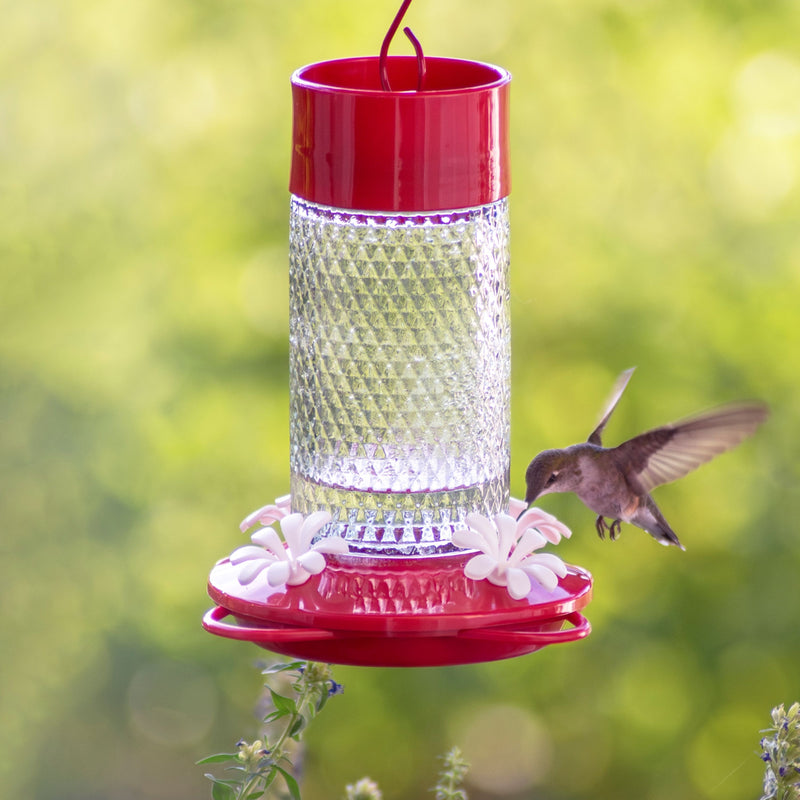 Load image into Gallery viewer, Charming Cherry Glass Gravity Hummingbird Feeder