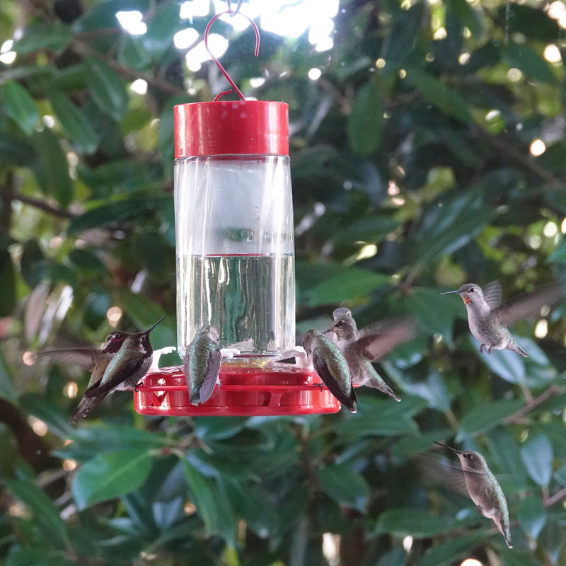 Load image into Gallery viewer, Scarlet Swirl Glass Gravity Hummingbird Feeder