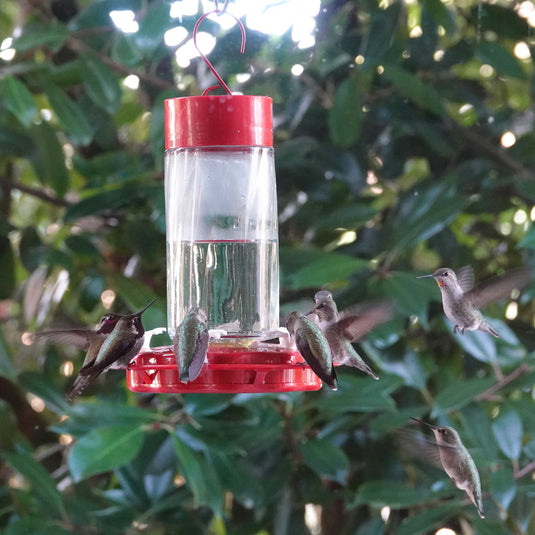 Scarlet Swirl Gravity Hummingbird Feeder