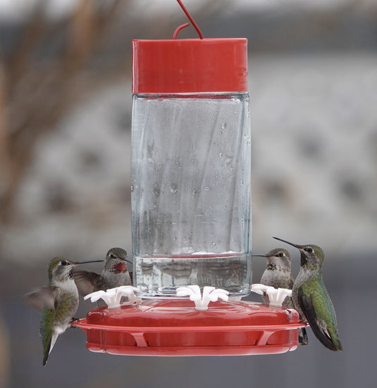 Scarlet Swirl Gravity Hummingbird Feeder