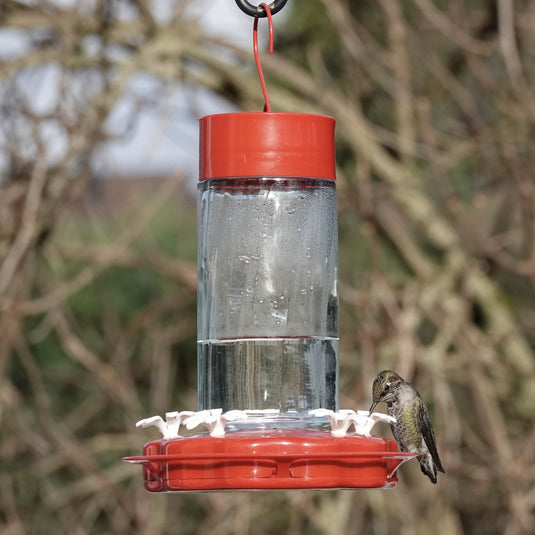 Scarlet Swirl Gravity Hummingbird Feeder