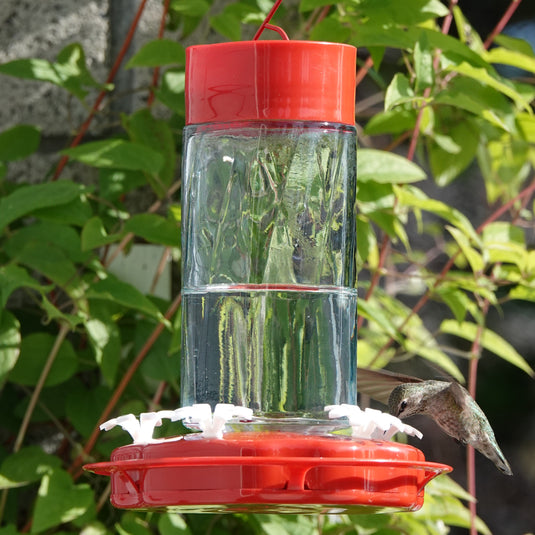 Scarlet Swirl Gravity Hummingbird Feeder