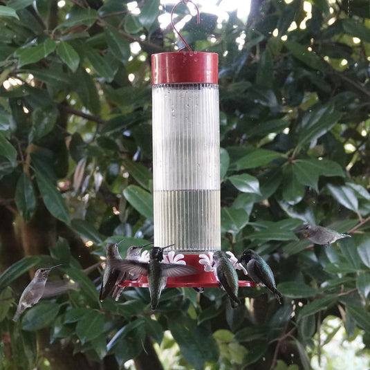 Ribbed Rose Gravity Hummingbird Feeder