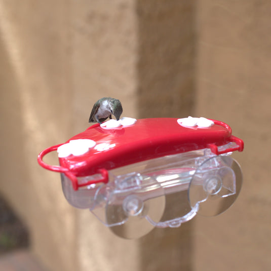 Traditional Window Hummingbird Feeder