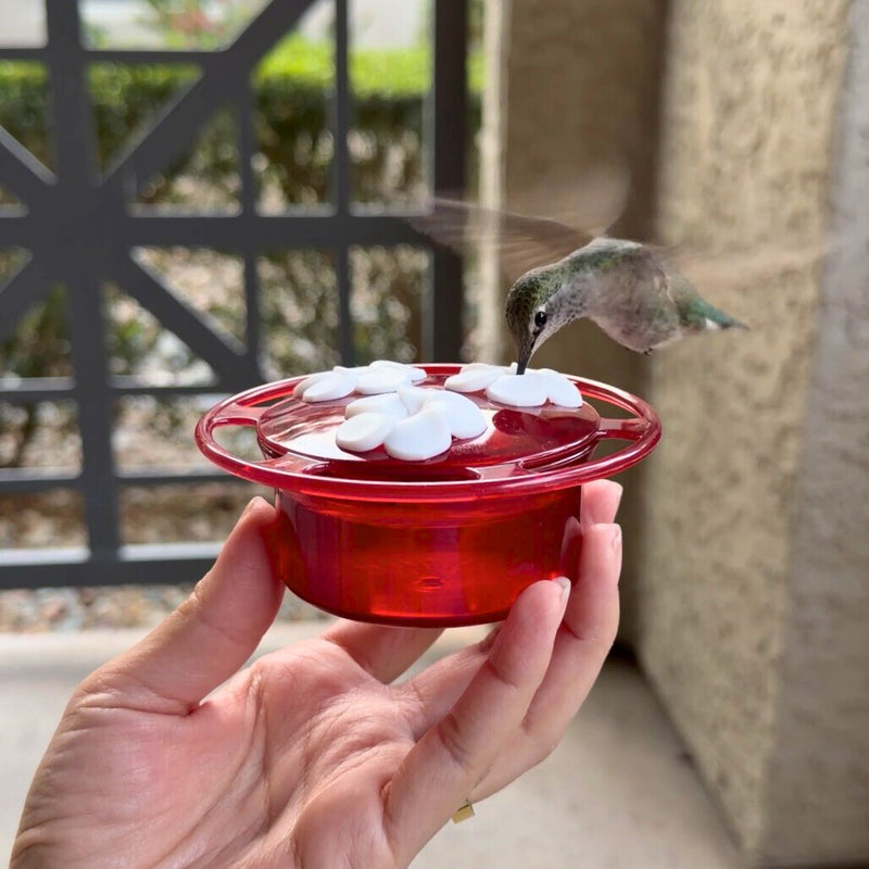 Load image into Gallery viewer, 3-Pack Petite Plastic Window and Handheld Hummingbird Feeder