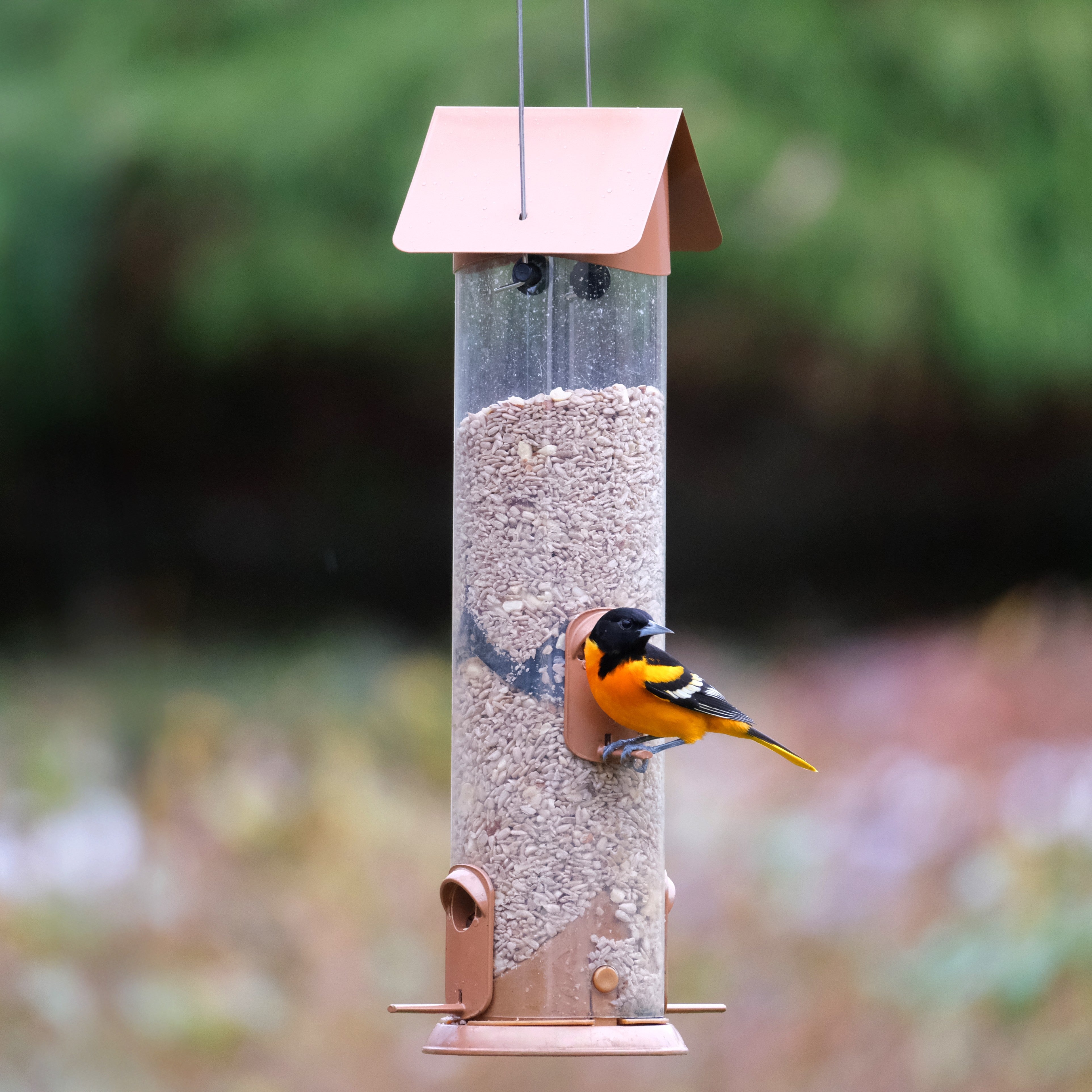 Wide Deluxe Easy Clean Tube Feeder – Nature's Way Bird Products
