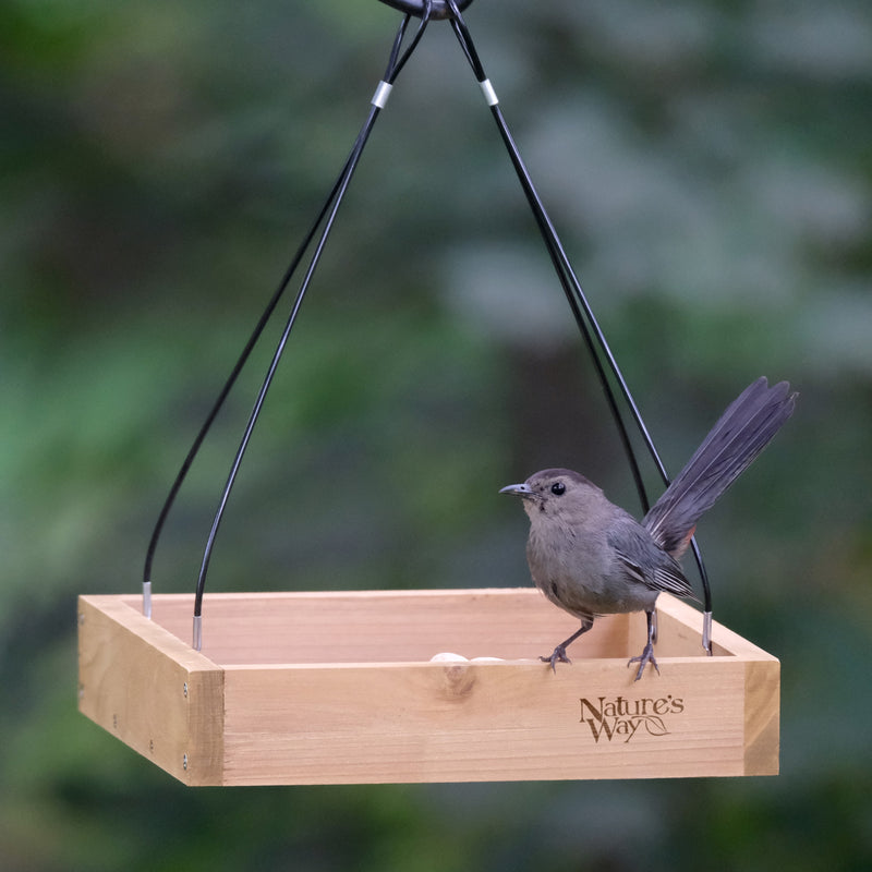 Load image into Gallery viewer, Cedar Hanging Platform Feeder
