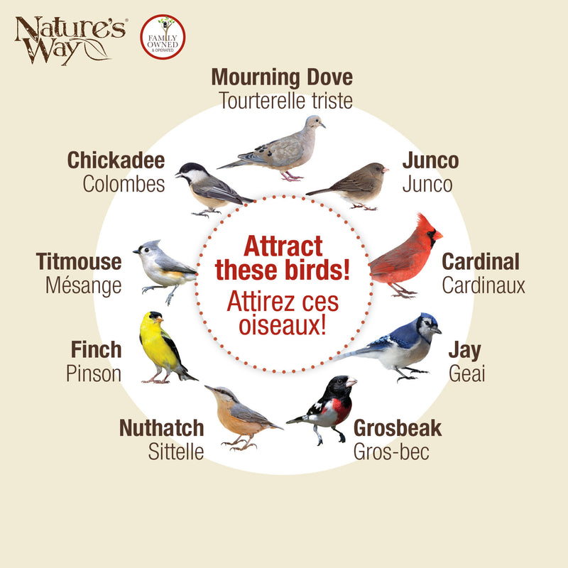 Load image into Gallery viewer, Cedar Hanging Platform Feeder