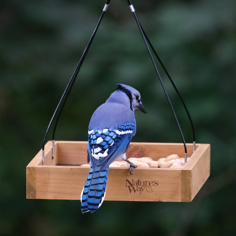 Load image into Gallery viewer, Cedar Hanging Platform Feeder
