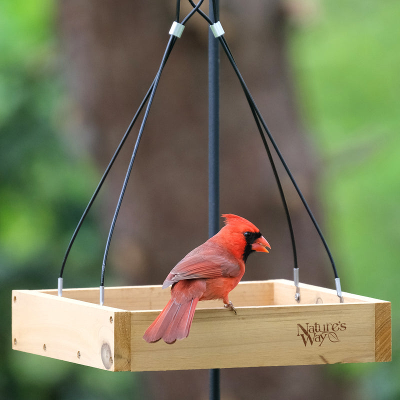 Load image into Gallery viewer, Cedar Hanging Platform Feeder